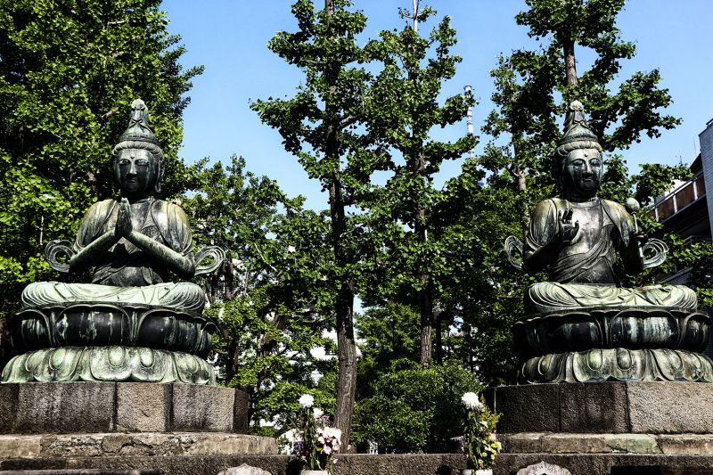 hinh 5.jpg hinh 5.jpg